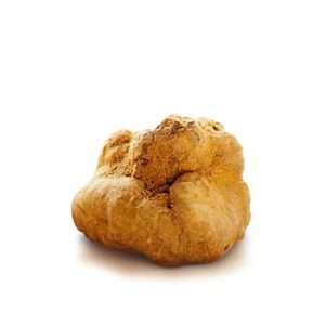 Tartufo Bianchetto - Italia Tartufi